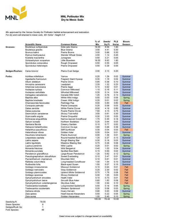 MNL Pollinator Mix - Dry to Mesic - Image 3