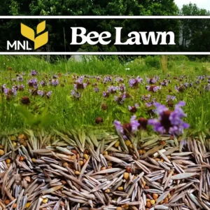 Bee lawn native seed mix with low-growing flowers for Midwest pollinator lawns