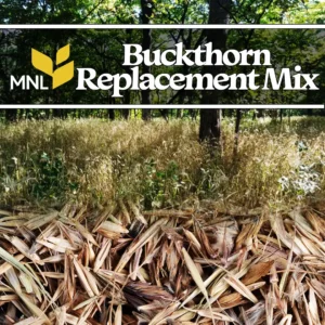 Buckthorn replacement native seed mix shown with prairie grasses and woodland restoration habitat