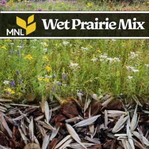 Wet prairie native seed mix with wildflowers and grasses for Midwest landscapes