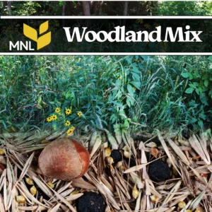 Woodland native seed mix with wildflowers and grasses for Midwest forest understory