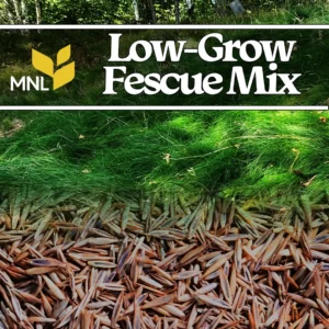 Low-grow fescue seed mix for Midwest lawns and low-maintenance turf areas