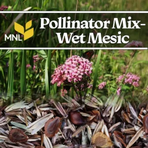 Pollinator native seed mix with wildflowers for wet to mesic Midwest conditions
