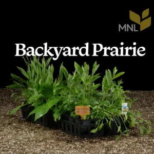 Backyard Prairie native plant kit with mixed Midwest prairie species in a nursery tray
