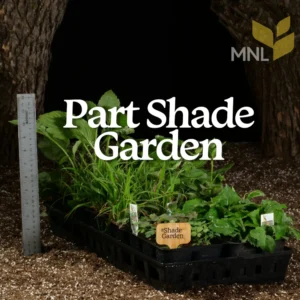 Part Shade Garden native plant kit with Midwest shade-tolerant species in a nursery tray