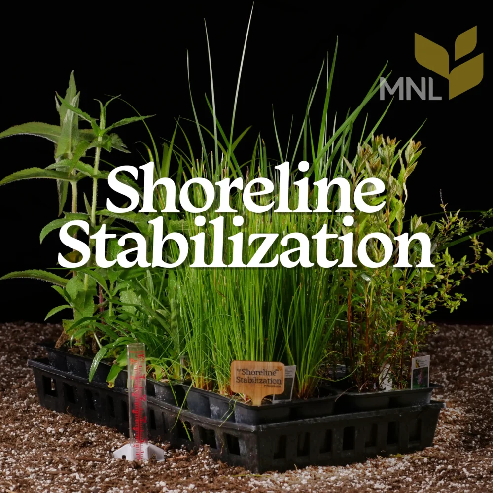 Shoreline Stabilization native plant kit with Midwest deep-rooted species in a nursery tray