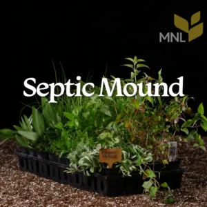 Septic Mound native plant kit with Midwest shallow-rooted species in a nursery tray