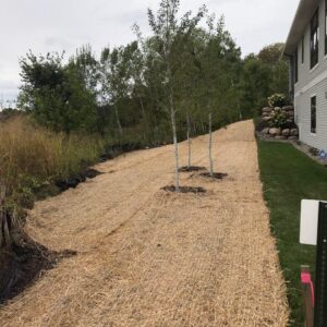 Erosion Control Blanket - MNL: Heal the Earth