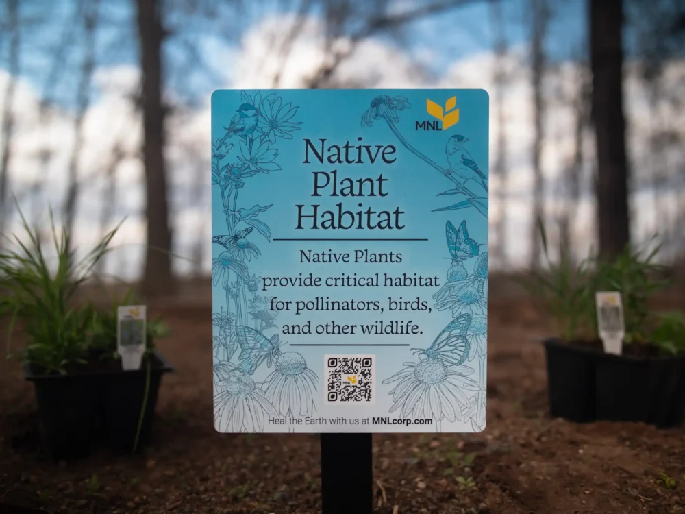 Sign reading “Native Plant Habitat” explaining that native plants support pollinators and wildlife, displayed outdoors with young plants in a natural setting.