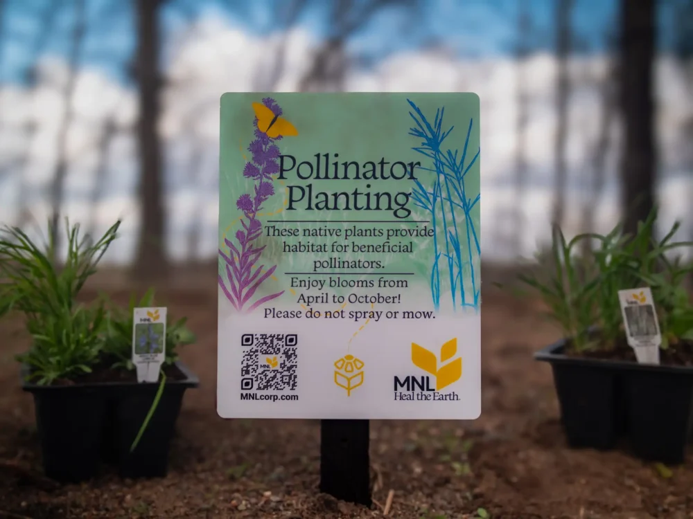 Sign labeled “Pollinator Planting” describing benefits for pollinators and seasonal blooms, placed among planted greenery outdoors.