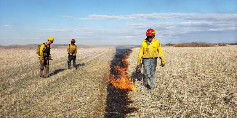 fire crew starting a fire line