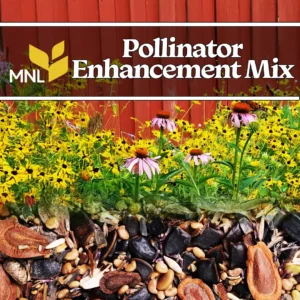 Pollinator Enhancement Mix native wildflowers and seed blend for Midwest habitats