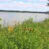 MNL Lakeshore Mix - Image 4