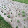 Weed Suppressant Mat™ - Image 2