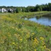 MNL Lakeshore Mix - Image 6