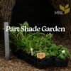 Part Shade Garden Kit