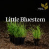 Pocket Planting Pollinator Garden Bundle - Image 4
