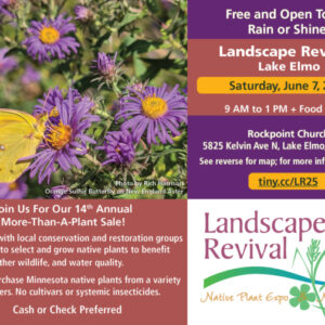 Landscape Revival 2025: Lake Elmo