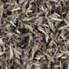 MNL Economy Backyard Prairie Mix - Image 2