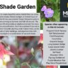Part Shade Garden Kit - Image 4