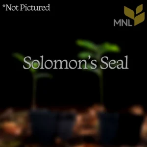 vacant image of Solomon's Seal