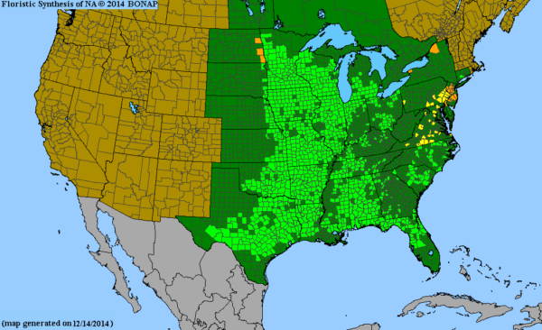 Native range map of Prairie Phlox, Phlox pilosa
