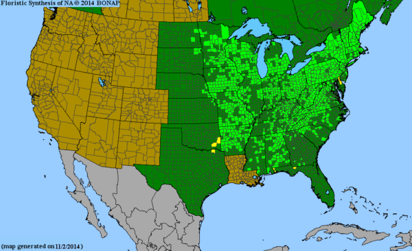 Native range of Blue Wood Aster