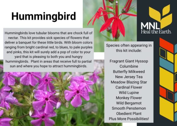 Hummingbird Kit - Image 2