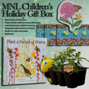 MNL Children's Holiday Gift Box