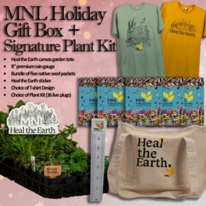 MNL Holiday Gift Box + Signature Plant Kit