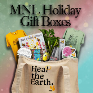 Holiday Gift Boxes
