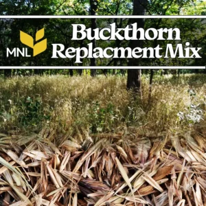 Buckthorn replacement native seed mix shown with prairie grasses and woodland restoration habitat