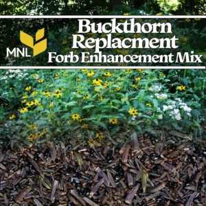 Buckthorn replacement forb enhancement native seed mix with wildflowers for Midwest restoration