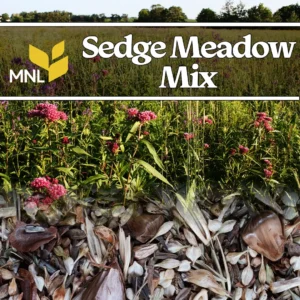 Sedge meadow native seed mix with wet meadow plants for Midwest restoration
