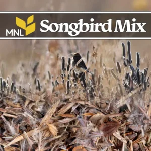 Songbird native seed mix with prairie grasses supporting Midwest bird habitat