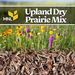 Upland dry prairie native seed mix with wildflowers and grasses for Midwest landscapes