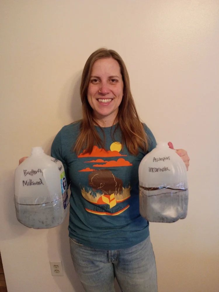 Ashley Petel holding milk jug containers with native milkweed seeds prepared for DIY winter sowing