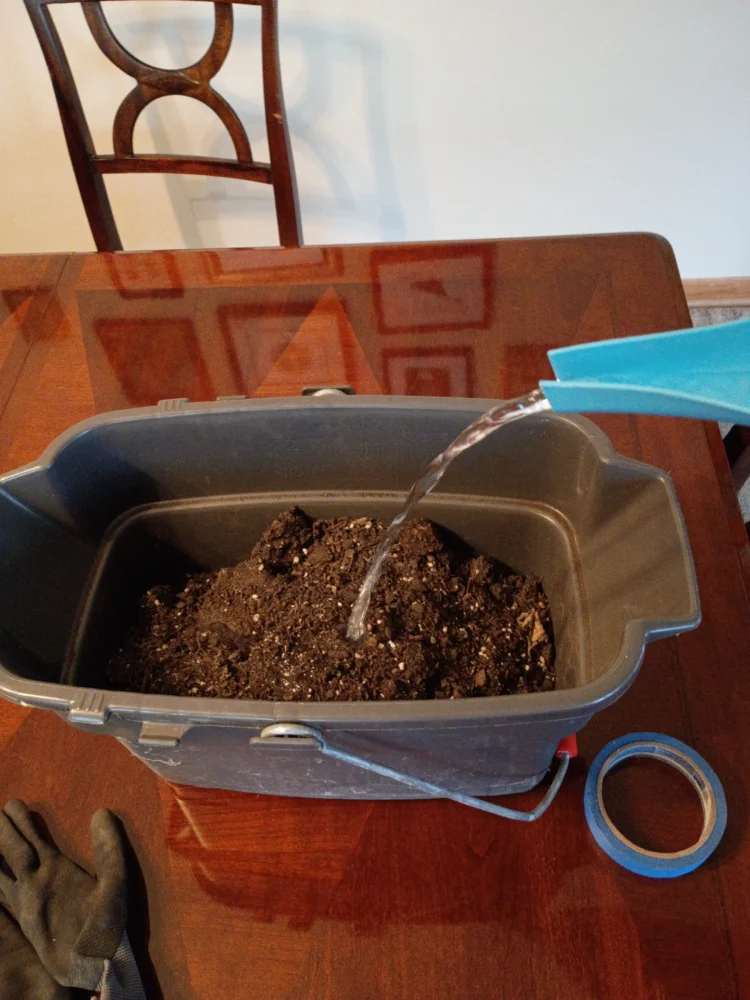 Moistening potting soil for DIY winter sowing of native plant seeds