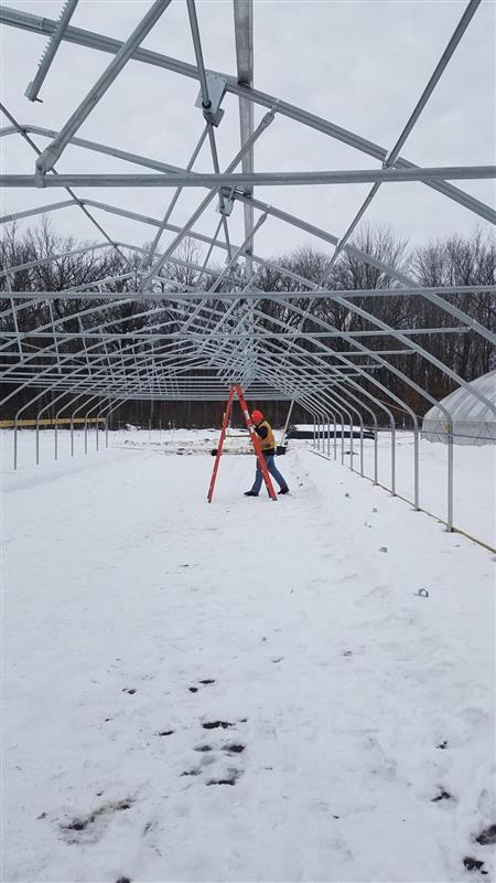 Person with ladder constructing the greenhouse frame