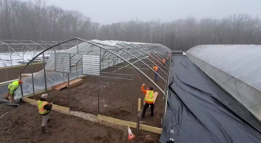 MNL greenhouse team pulls plastic over greenhouse structure