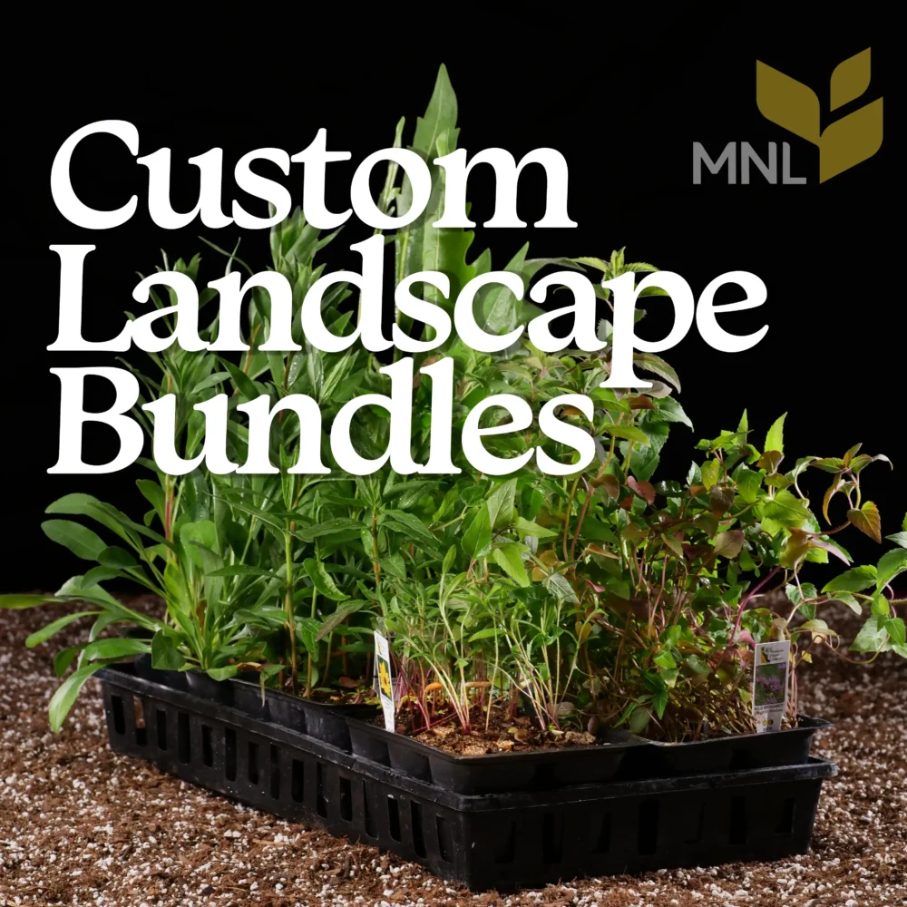 Custom Landscape Bundles
