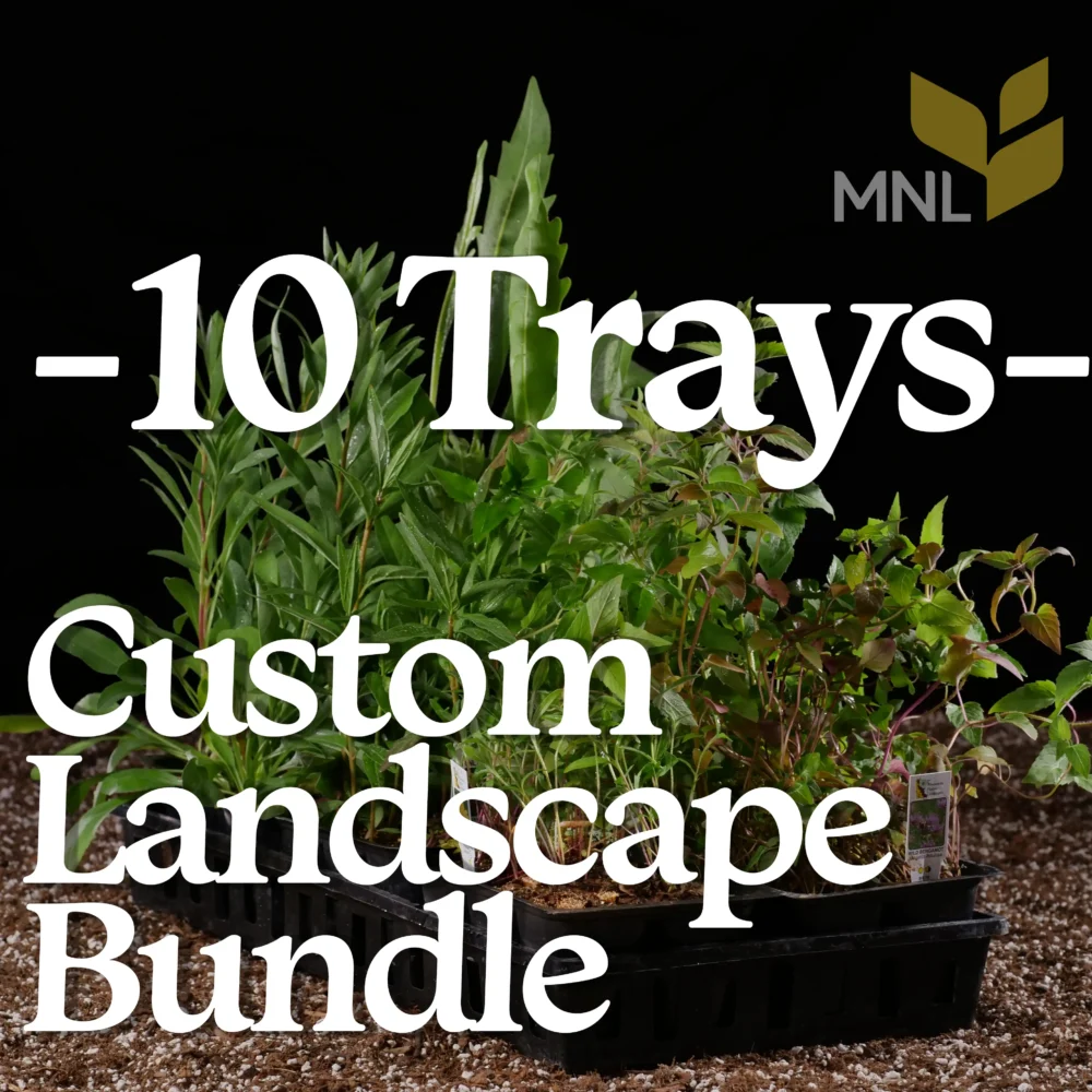 Custom Landscape Bundles 10 Tray