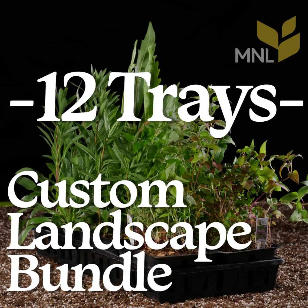 Custom Landscape Bundles 12 Tray