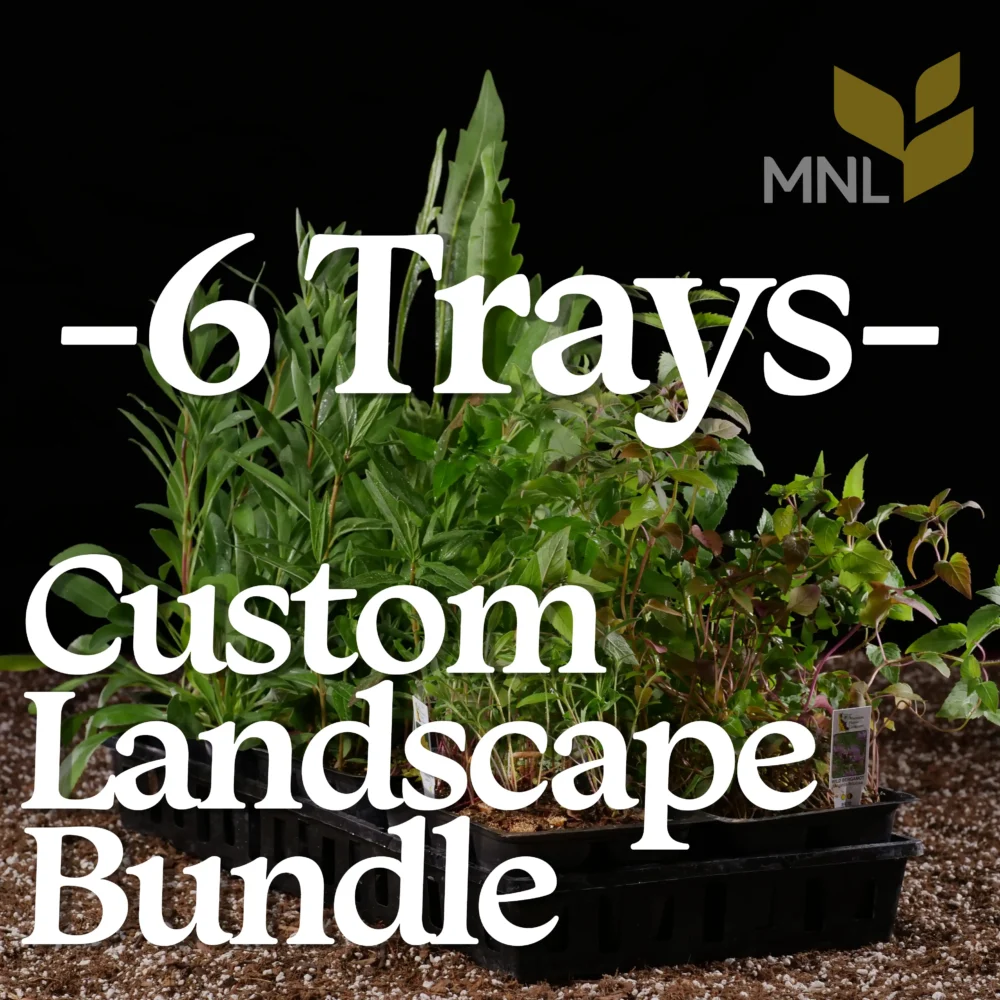 Custom Landscape Bundles 6 Tray