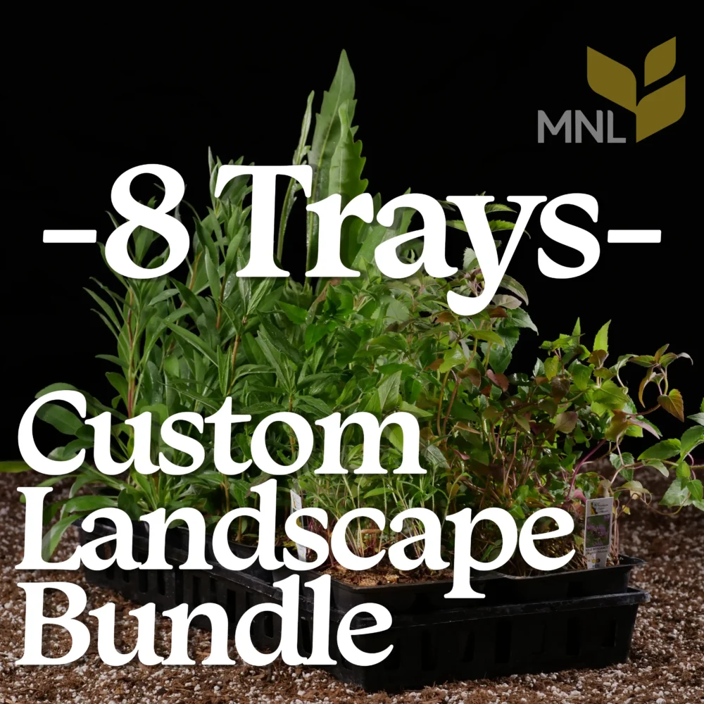 Custom Landscape Bundles 8 Tray