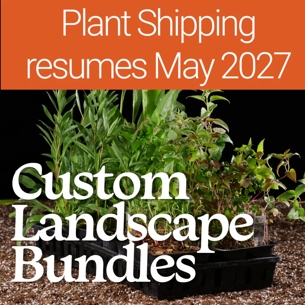 Custom Landscape Bundles