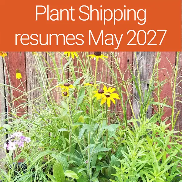 Signature Plant Kits